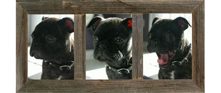 collage picture frames