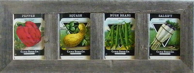 Panel Frames